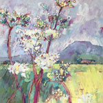 Meadowsweet - Ingleborough